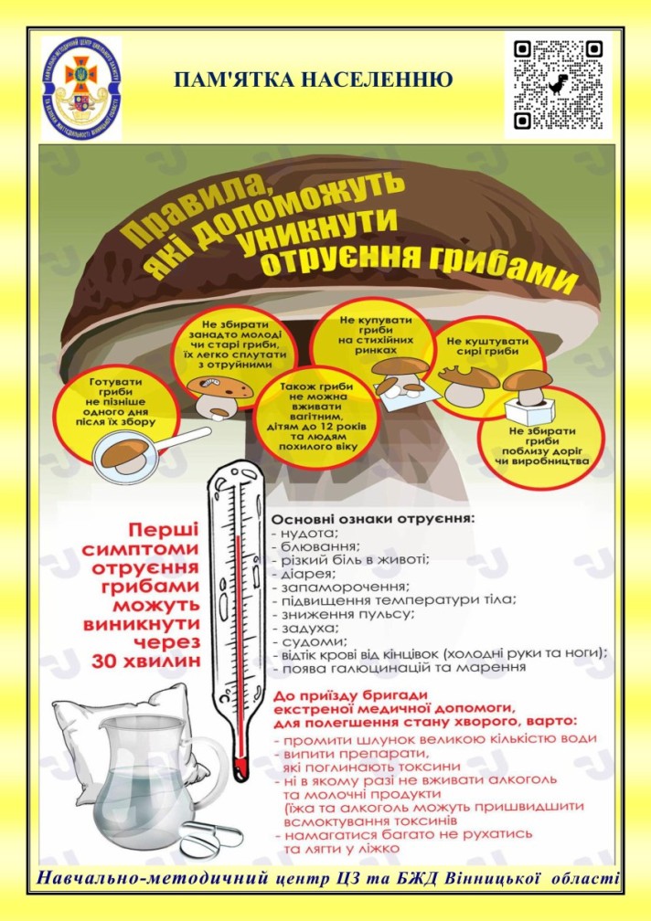 шаблон